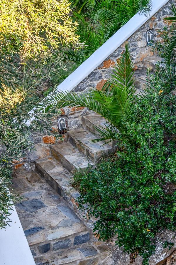 View Villas Punta 外观 照片